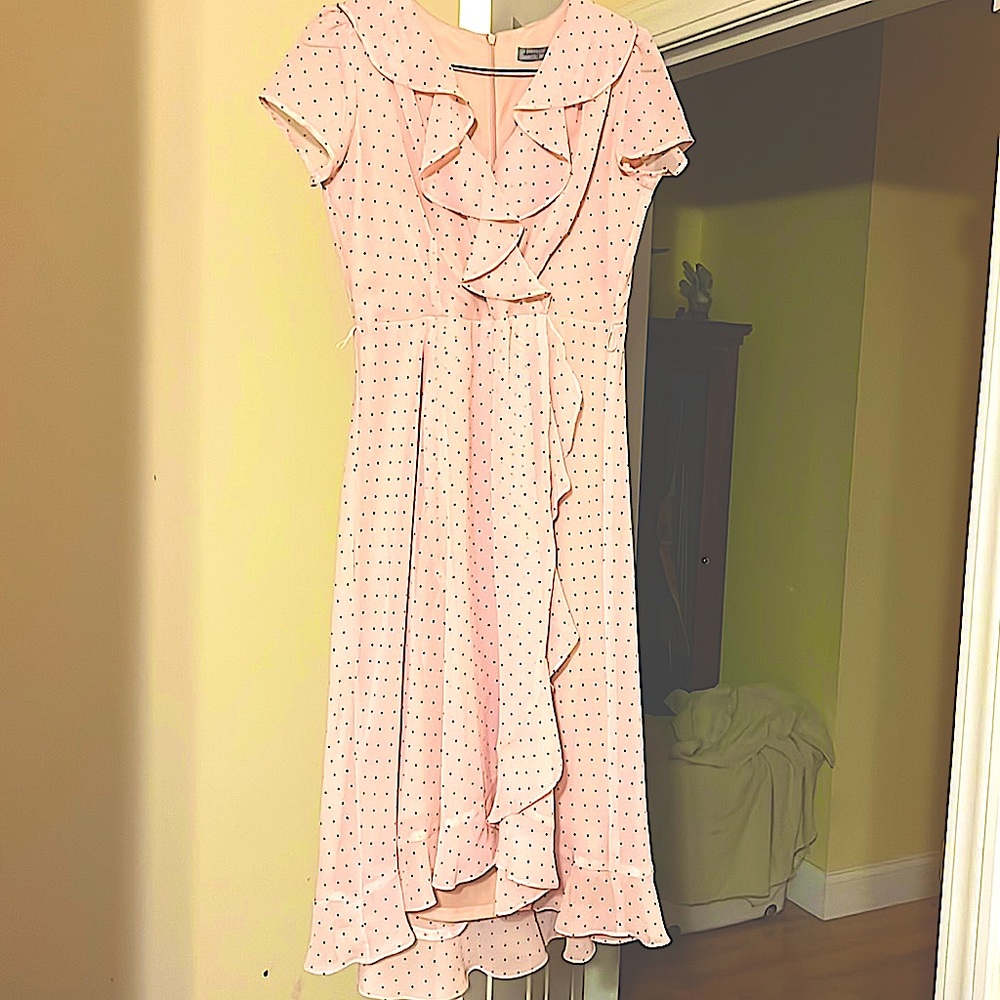 Selling my Danny and Nicole dress pink polka dot size 2P! Pickup only located ME